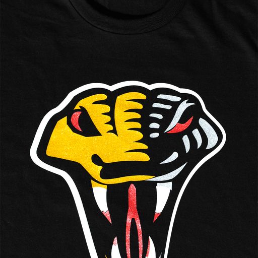 Siser Sparkle applied design on black tee