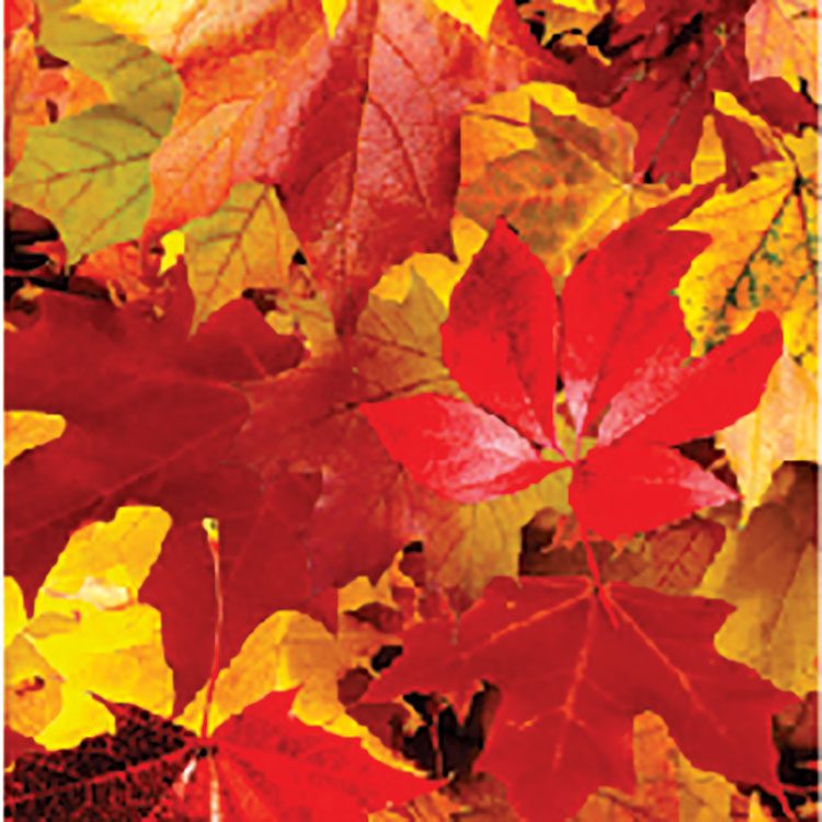 Siser EasyPatterns - Autumn Leaves