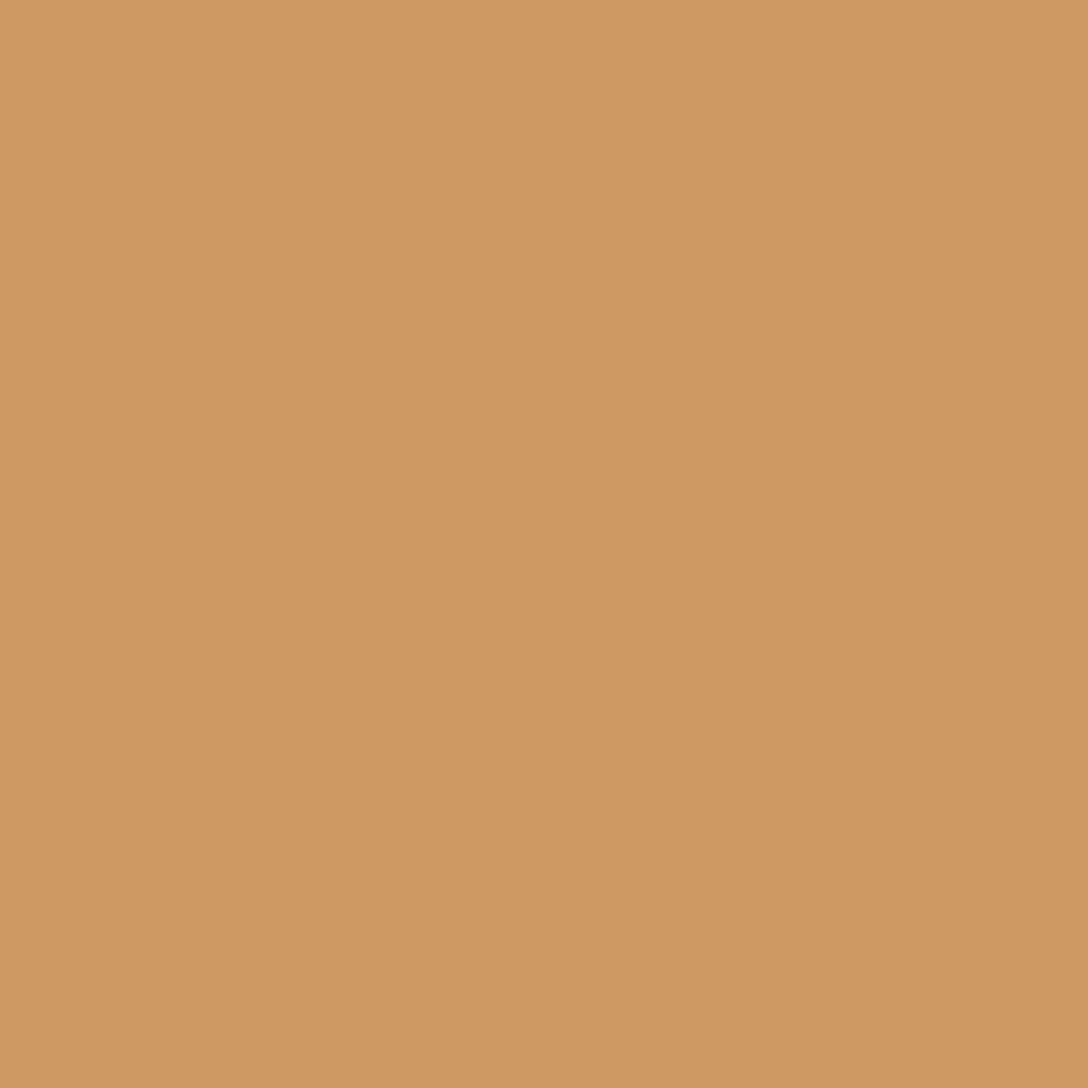 Siser EasyWeed Tan