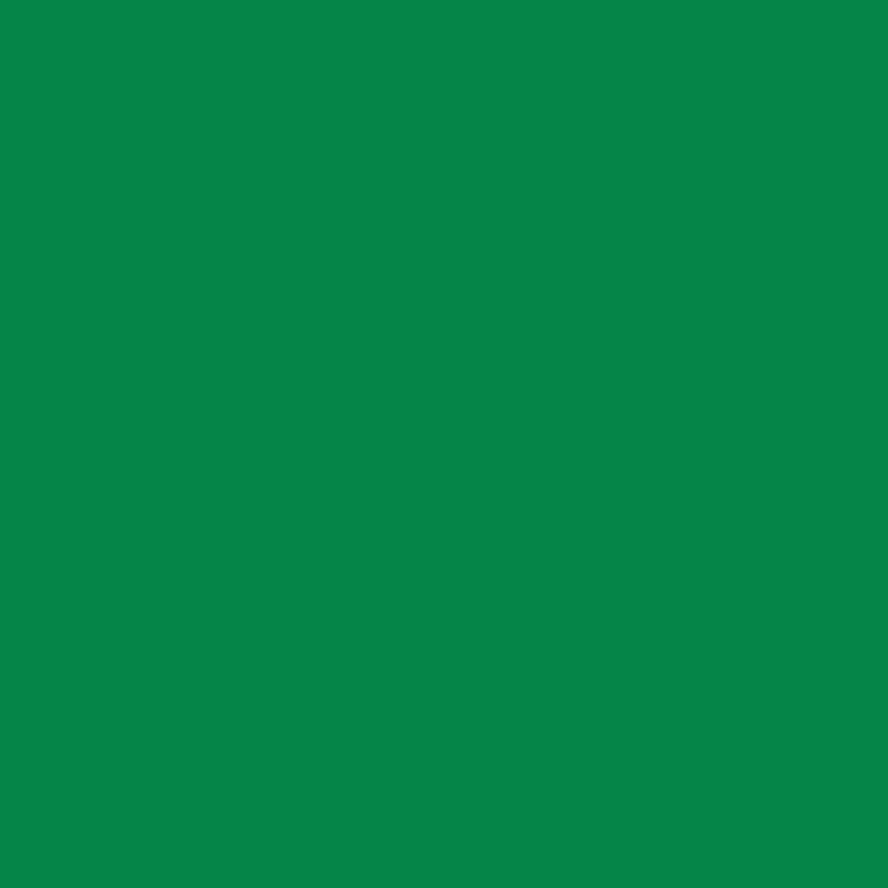 Siser EasyPSV Permanent swatch - Emerald