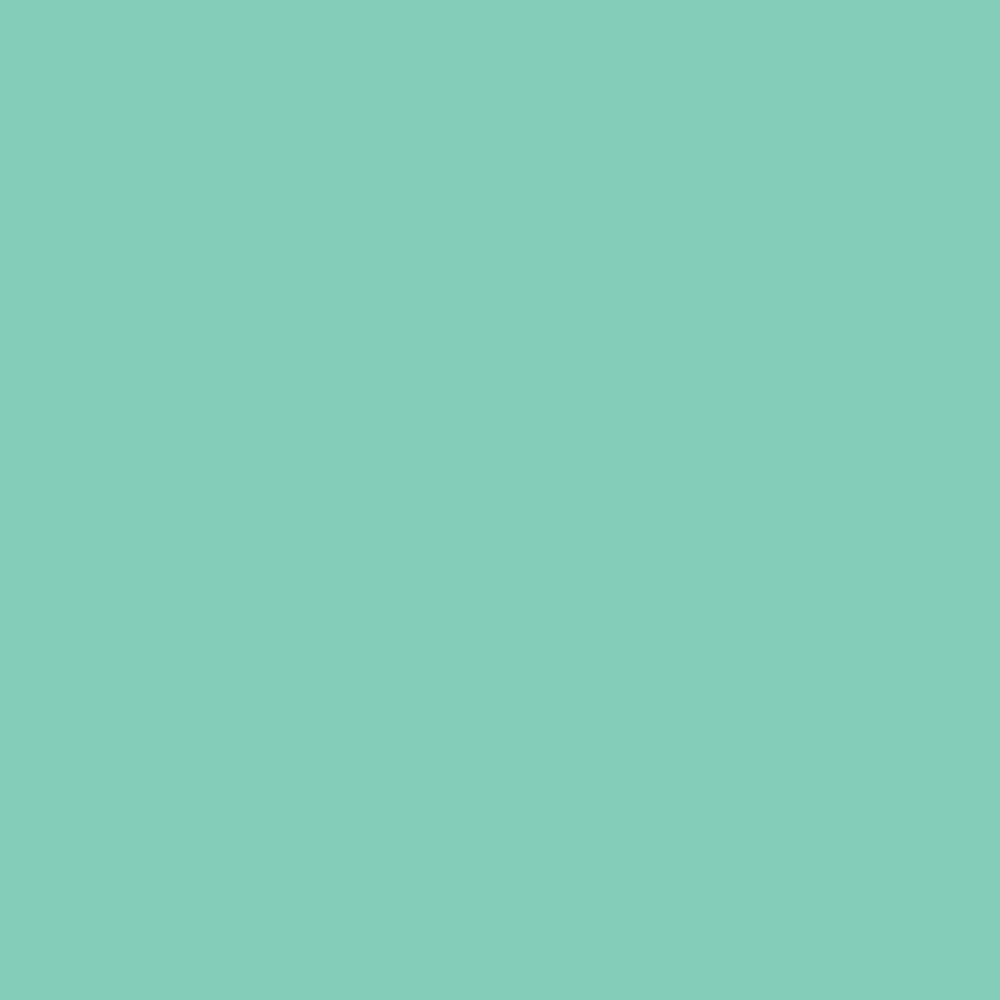 Siser EasyPSV Permanent swatch - Mint