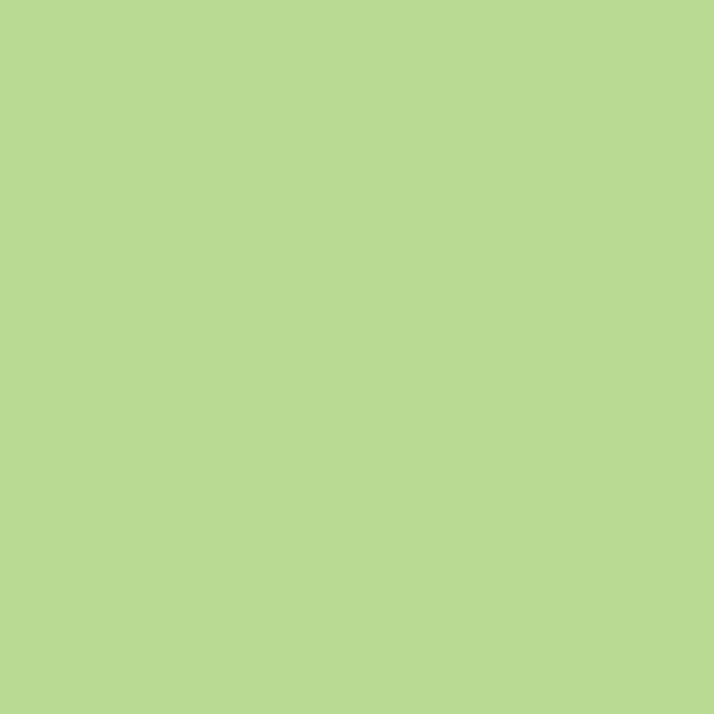 Siser EasyPSV Permanent swatch - Green Tea