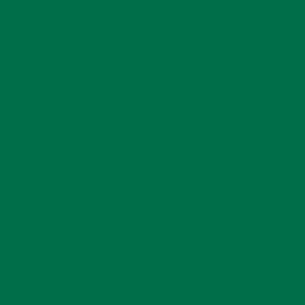 Siser EasyWeed heat transfer vinyl swatch - Green