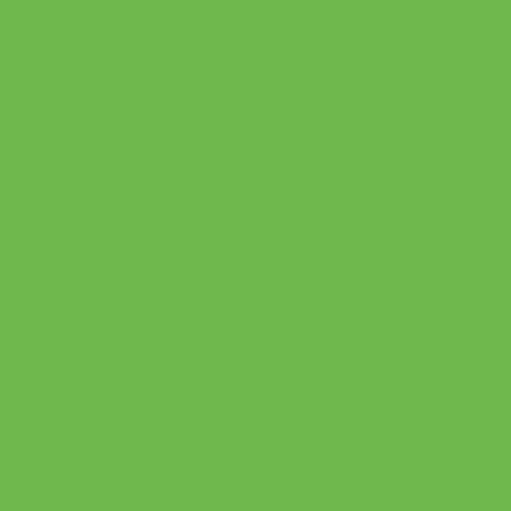 Siser EasyWeed heat transfer vinyl swatch - Green Apple