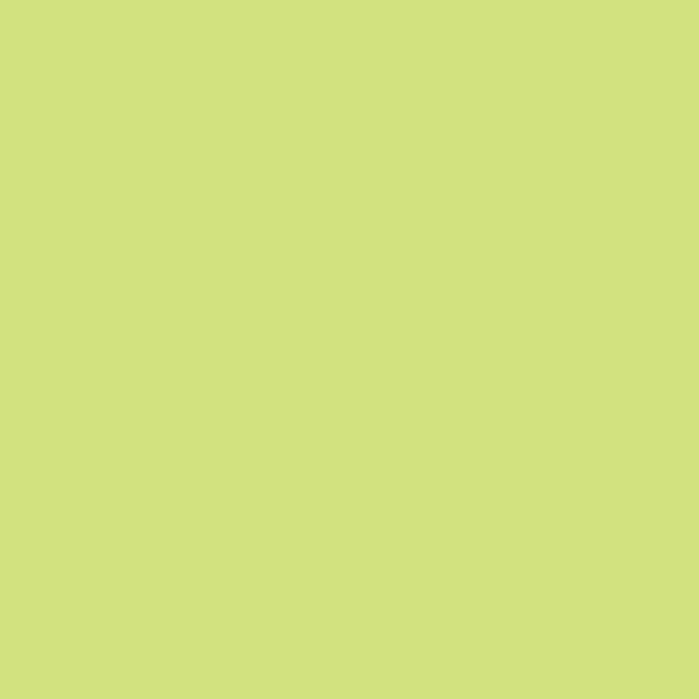 Siser EasyPSV Permanent swatch - Pistachio