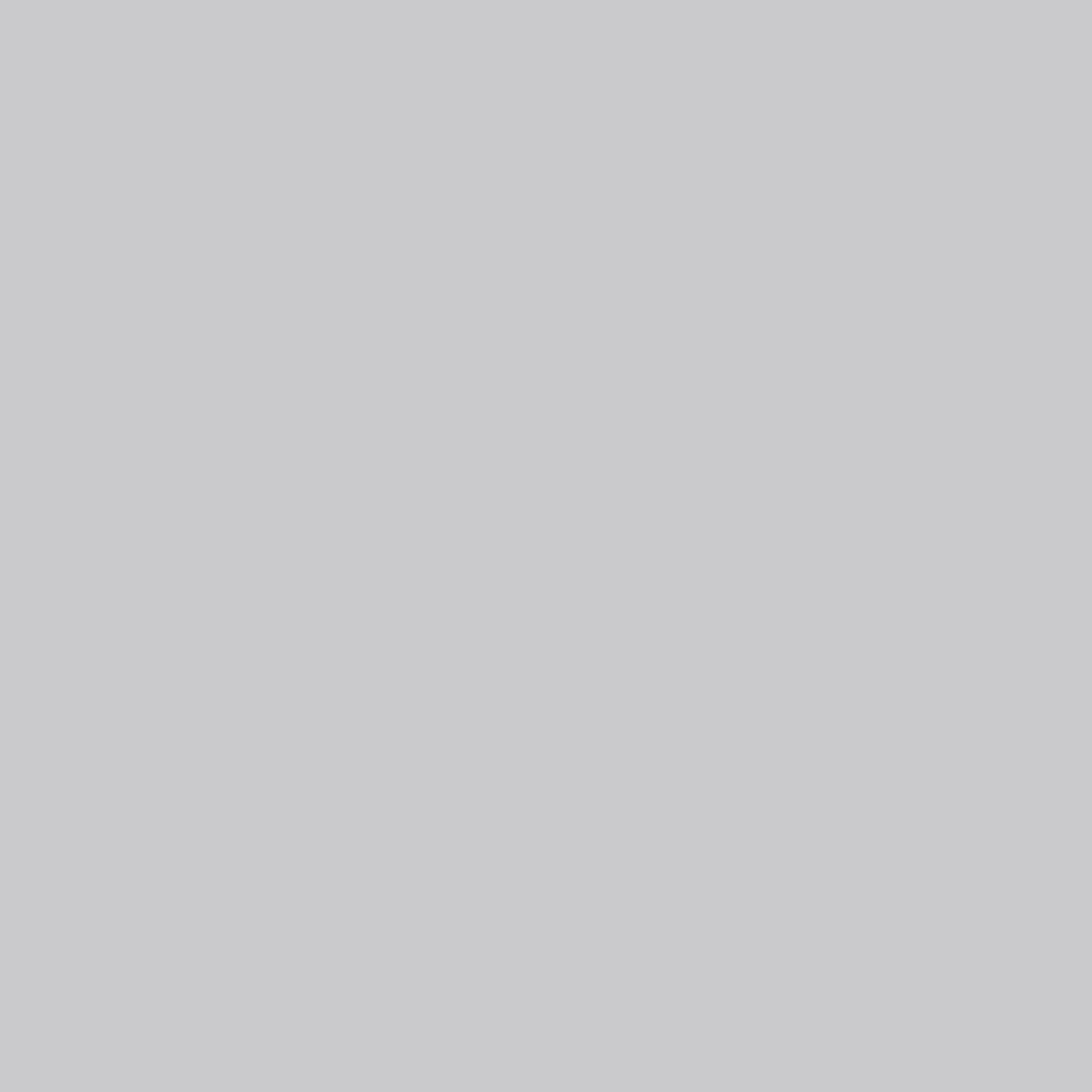 Siser EasyWeed heat transfer vinyl swatch - Silver