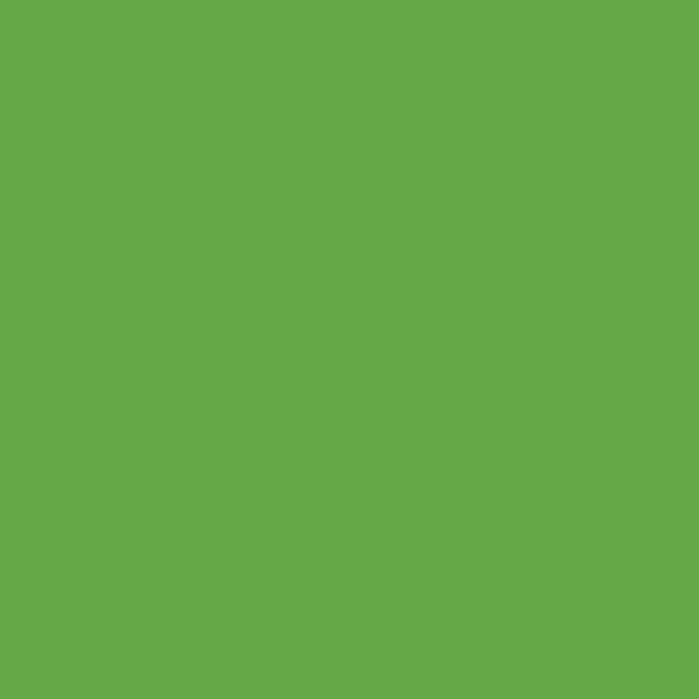 Siser EasyPSV Permanent swatch - Tree Frog